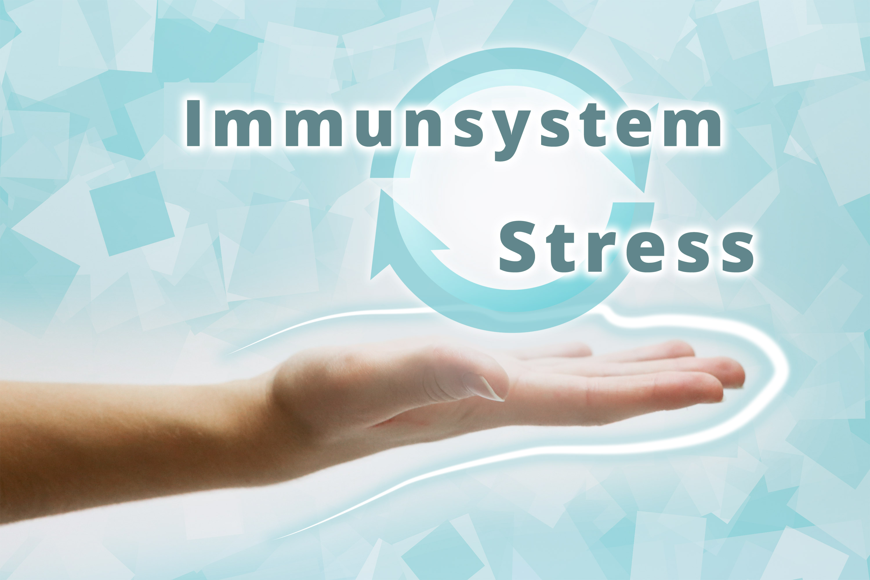 Immunsystem und Stress
